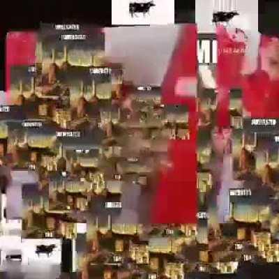 My experience with kinebastard so far