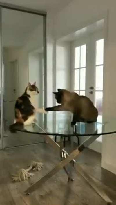 Let's shake on it and share this table