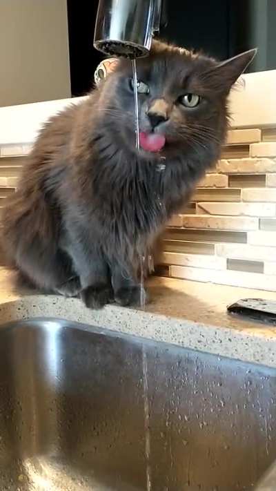 Her messiest, least efficient, but favourite method of hydration