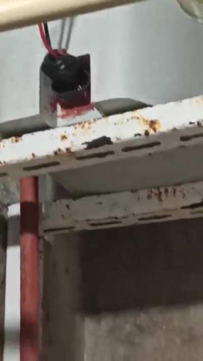 Humo al enchufar el calef&oacute;n, alguien sabe si es normal que salga humo de esa manera al momento de enchufarlo?