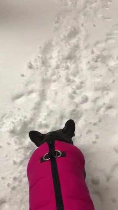 My man said nope,I ain’t going out in this shit