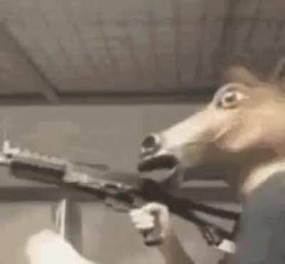 Legendary character idea, with a new reload animation (humor)