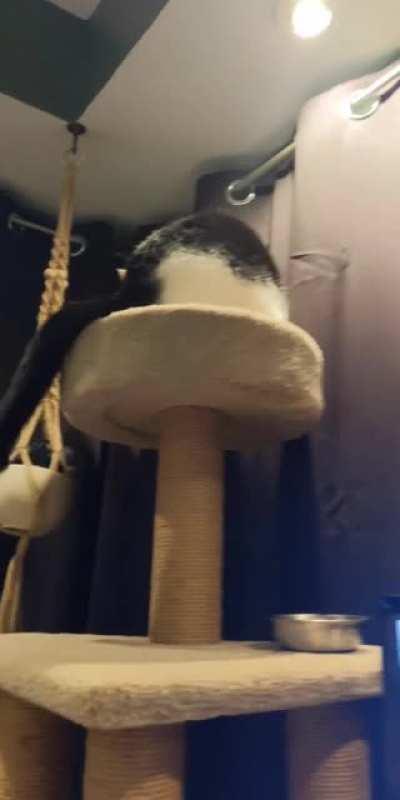 He's never been the brightest crayon in the box, but we love him