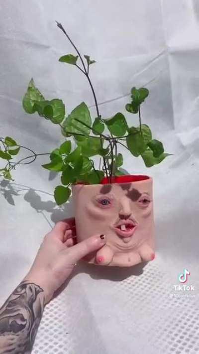 Flower Pot