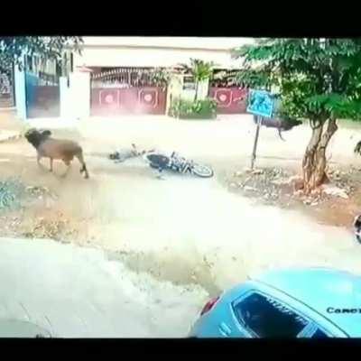 Did anybody get his license plate?