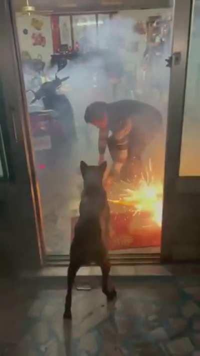 Thank goodness it wasn't a firecracker