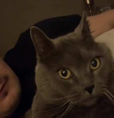 Did… did that motherfucker just lick me?!