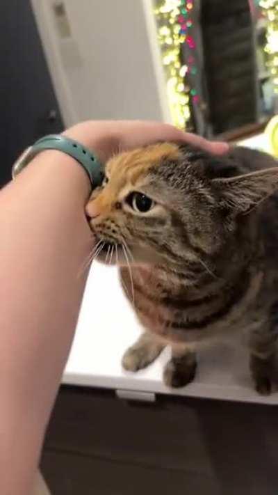 Her little slip 😜