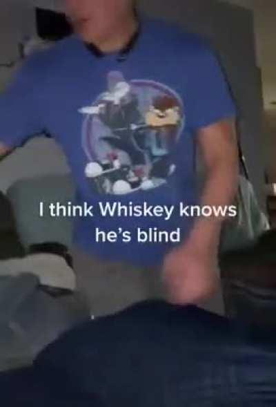 Good boy Whiskey