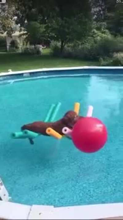 HMK while I go with the flow