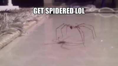 The greatest battle of all time