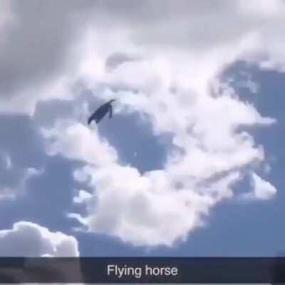 FLYING HORSE