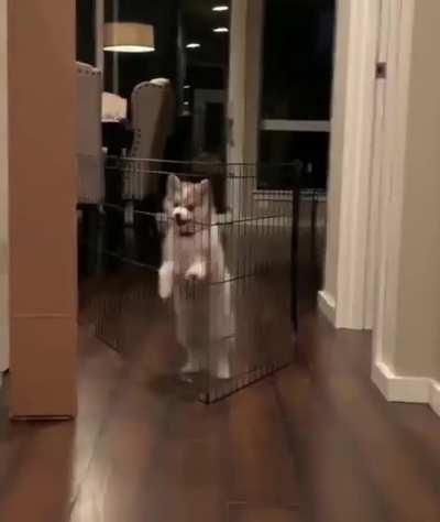 Wait. That's illegal