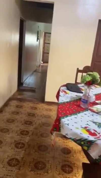 Dog learned to take the carpet off when grandma arrives