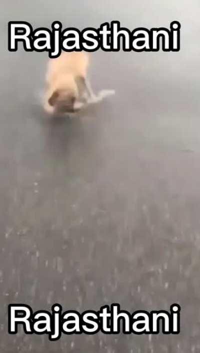 rajasthan pe joke he hass