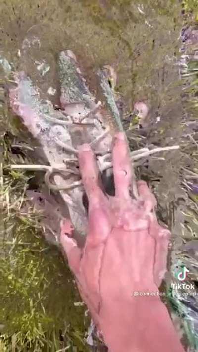 Yeah that’s…something