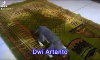 Wtf Yuumi converted to islam after laning with droben? 😳😳