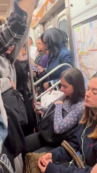 This Other Lady on the Subway