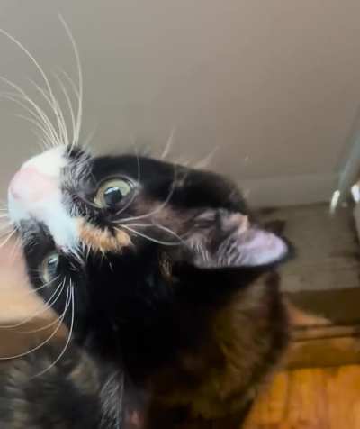 Email has opinions about the fact that she can’t have her porch time because of the rain. 