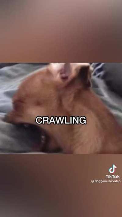 Crawling