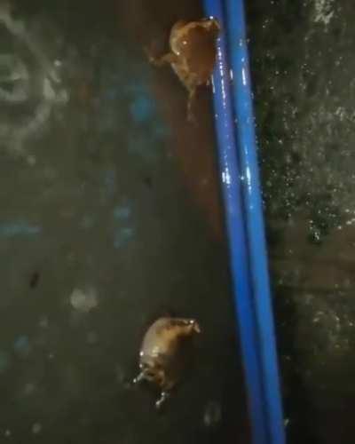 Top 10 lutas fodas 👍