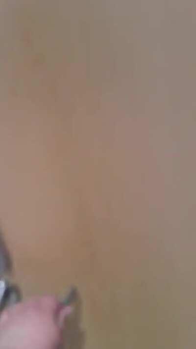 Tremont Elementary gender inclusive bathrooms