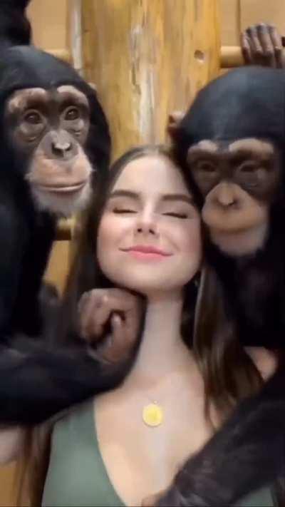 Average day in Monkeydonia 🐒🇲🇰