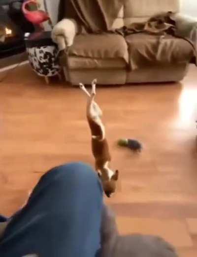 Dont mind me guys...just passing through.