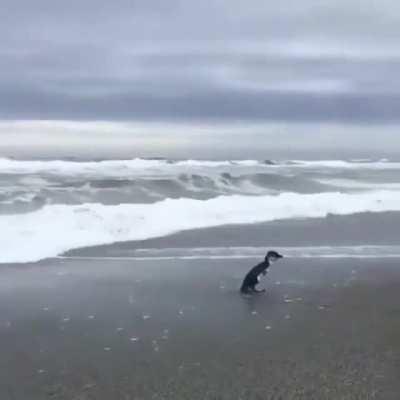 You coming? Ok then, my people need me