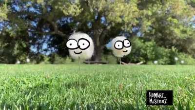 Allergies.. by @Hombre_McSteez