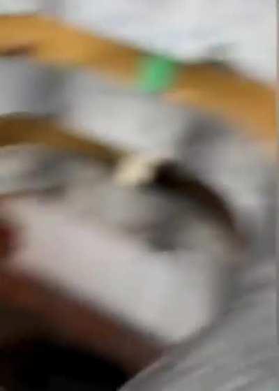 Frisbee trick on the wall