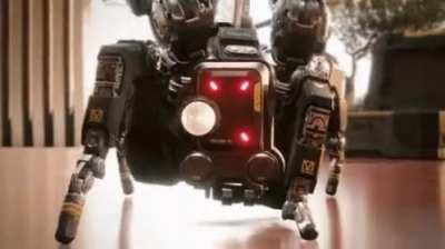 wiggle wiggle flathead