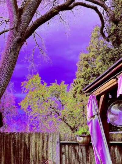 did some messing about with an animation app. Pretty close in my opinion.