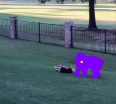 Upvote so Dawko can see! (oc)