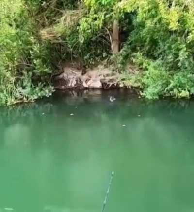 Wow‼️ just WOW🤯🤯🤯