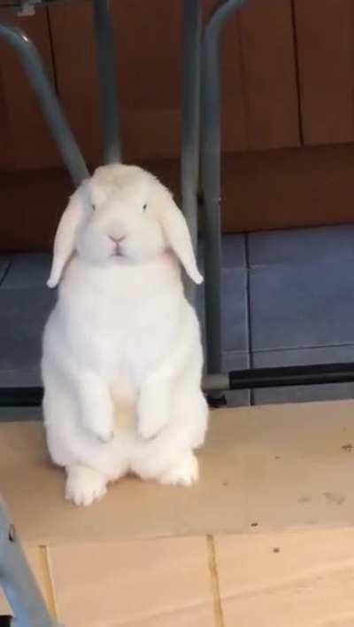 Oh God he's evolving into a bipedal being