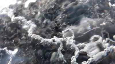 Trapped gas I found in washed up ice on diamond beach here in Iceland, what type of gas do you think it is and how old could it be?