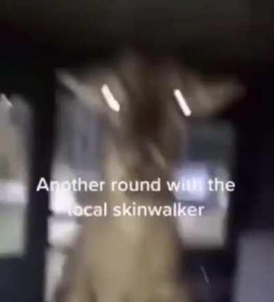 I low key be scrappin with the skinwalker 😳