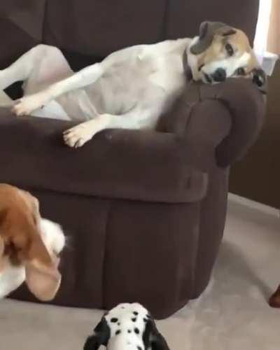 The noise why won't they keep it down?