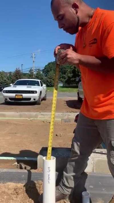 Guy saves a butterfly