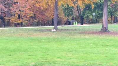 Target rich environment 🎯