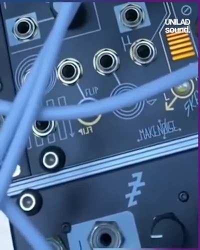 this guy turned bioelectric signals from mushrooms into music and its...interesting