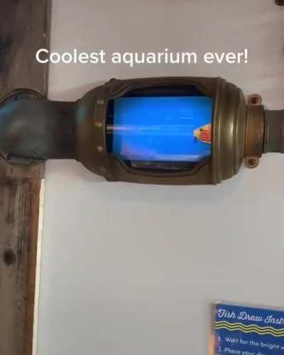 this aquarium takes kids drawings of fish and gives them life!