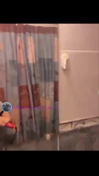 MANatee: stuns his prey before he eats