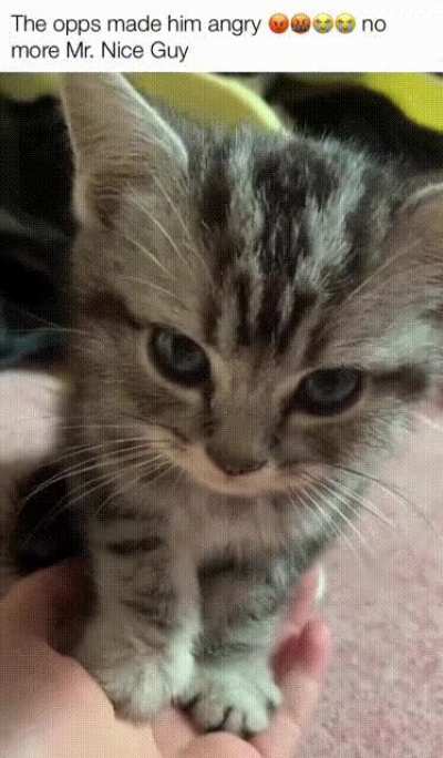 stay AWAY from him, he turned EVIL