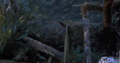 ¿Una Película real o un Sueño ?