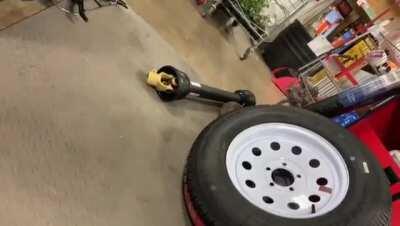 sugar free gummy bears