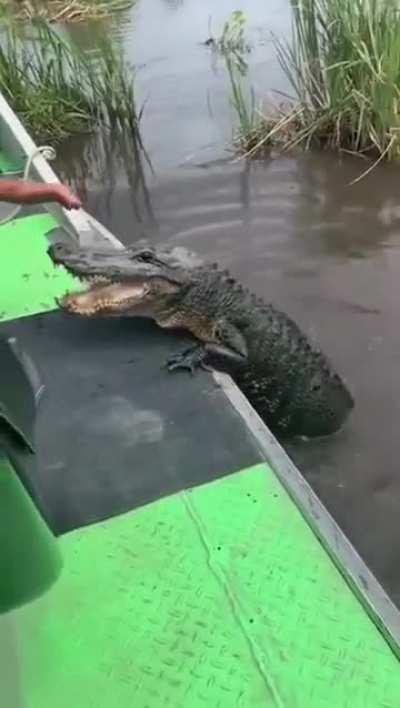 Florida citizenship test.