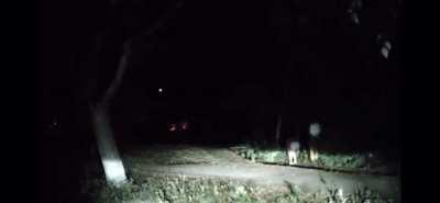 From unexpected to unprecedented