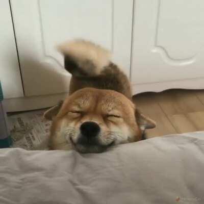 Good morning to you too!